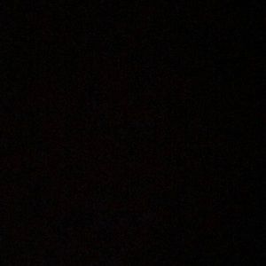 Meet your Posher, Ally